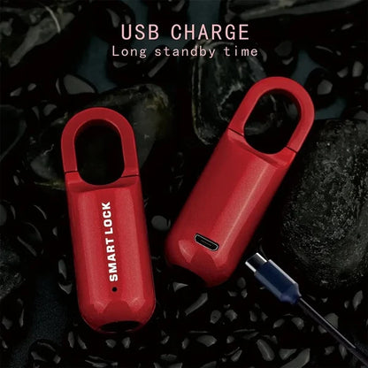 Mini Fingerprint Padlock USB Keyless
